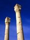 Syria: Pillars, Palmyra